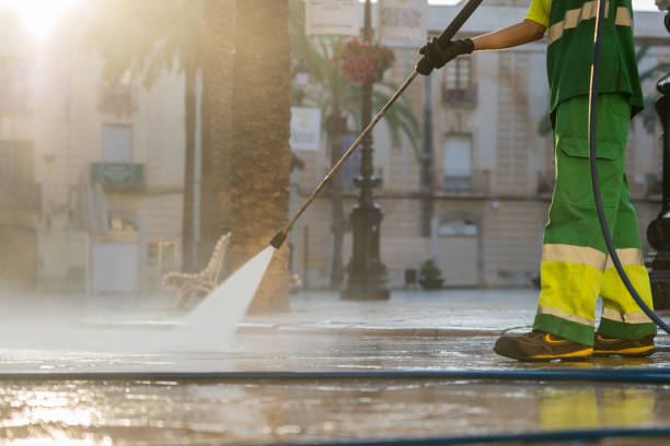Best Dumpster Area Cleaning  in Walnut Park, CA